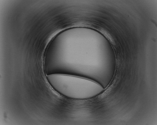 X0000097600854200802290730