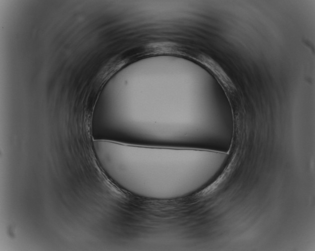 X0000097600857200802290730