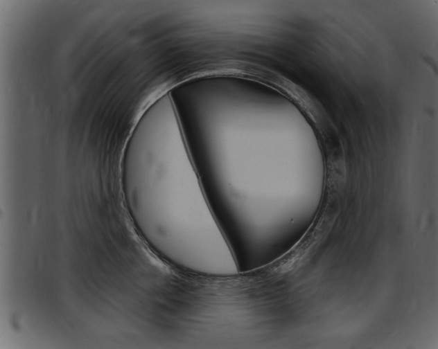 X0000097600858200802290730