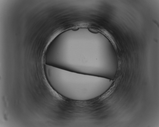 X0000097600859200802290730