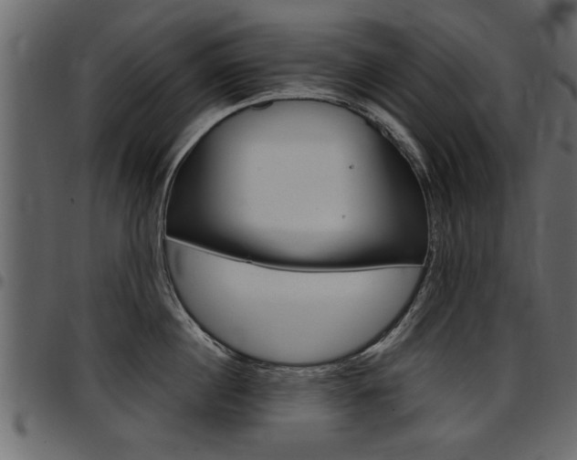 X0000097600860200802290730