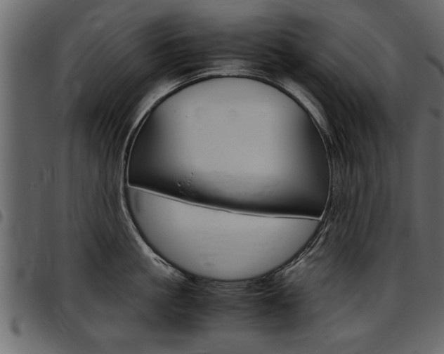 X0000097600861200802290730