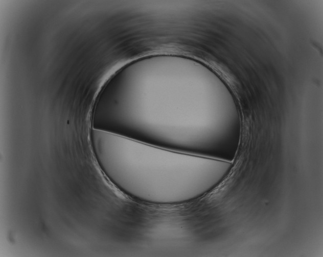 X0000097600862200802290730