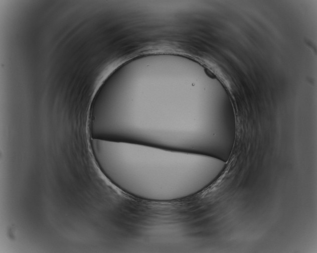 X0000097600863200802290730
