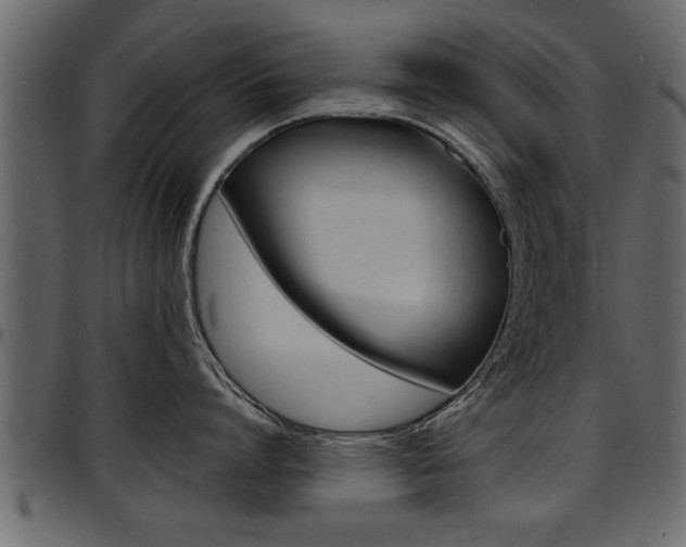 X0000097600864200802290730