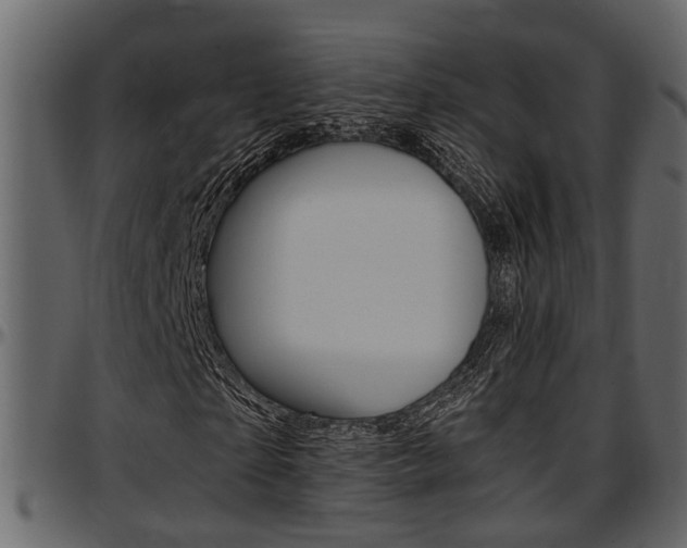X0000097600865200802290729