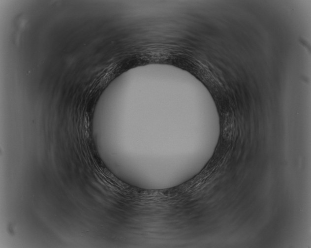 X0000097600866200802290729