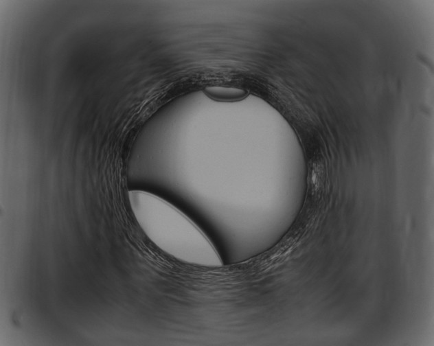 X0000097600867200802290729