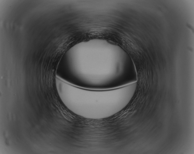 X0000097600868200802290729