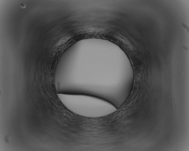 X0000097600869200802290729