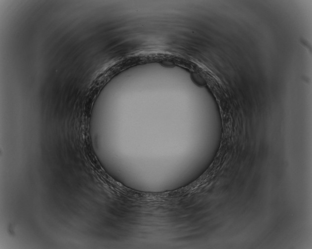 X0000097600870200802290729