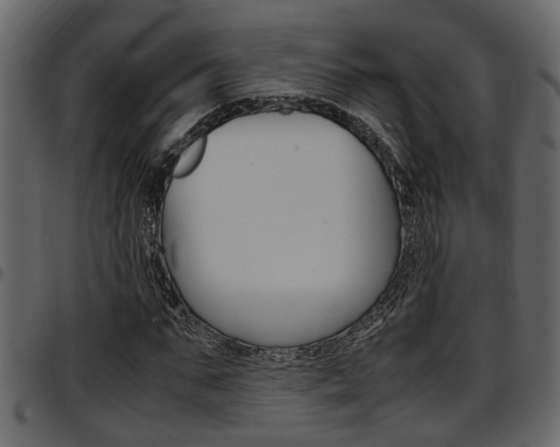 X0000097600871200802290729