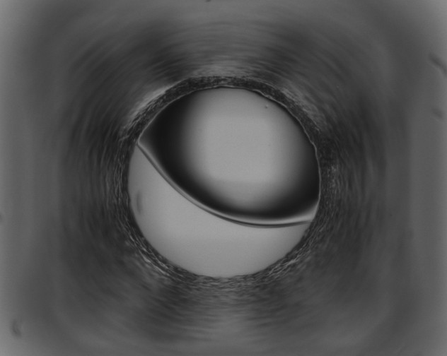 X0000097600872200802290729