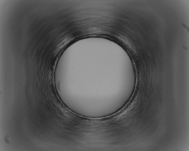 X0000097600873200802290729