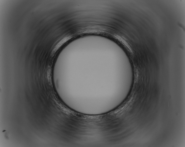 X0000097600874200802290729