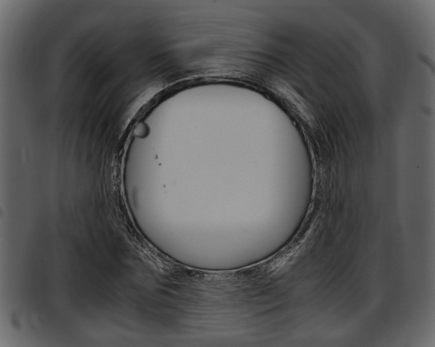 X0000097600875200802290729