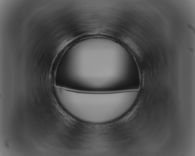 X0000097600876200802290729