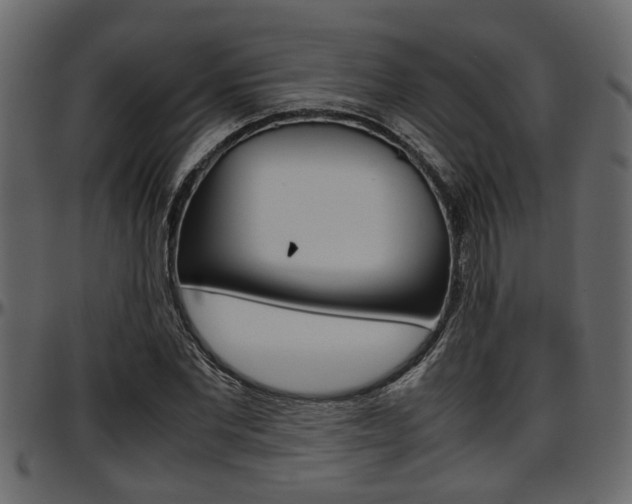 X0000097600877200802290729