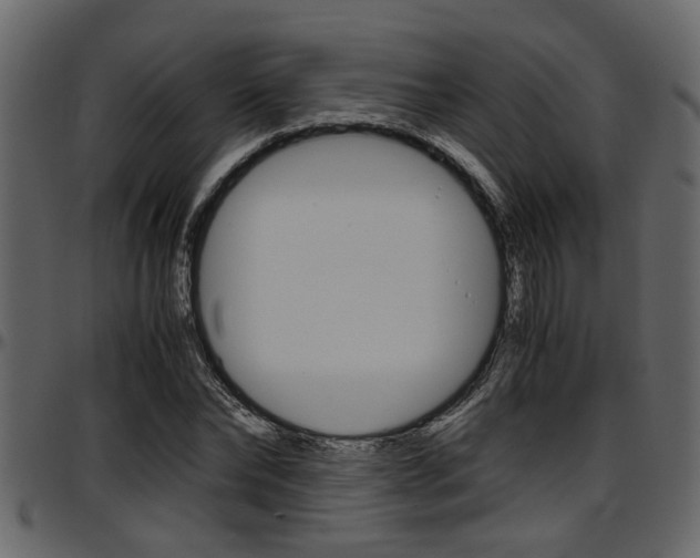 X0000097600878200802290729