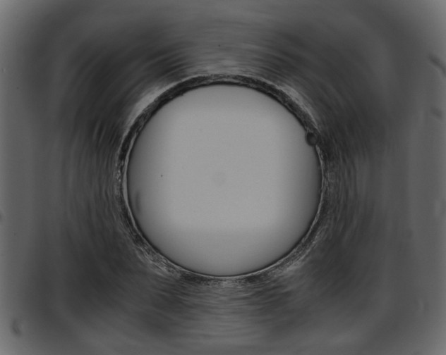 X0000097600879200802290729