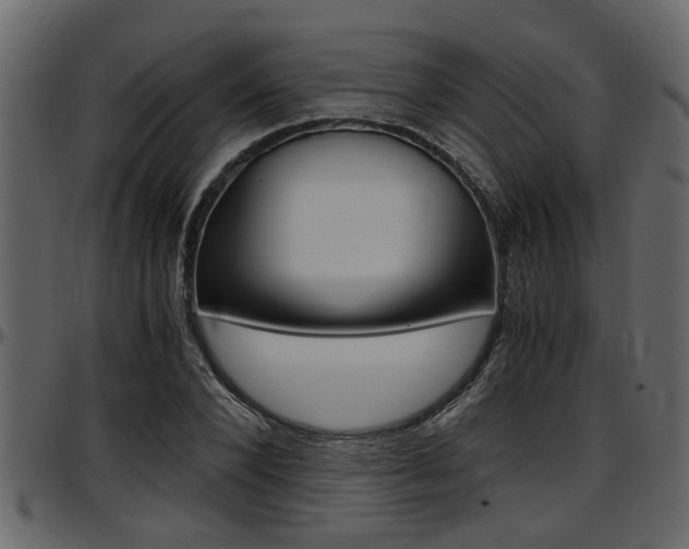 X0000097600880200802290729