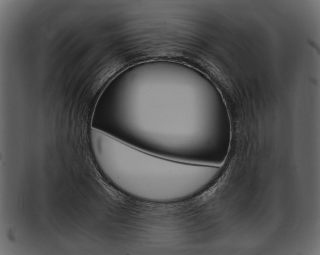 X0000097600881200802290729
