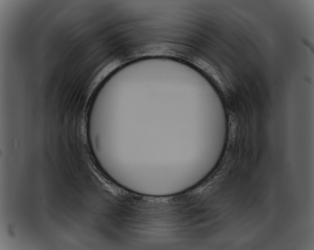 X0000097600882200802290729