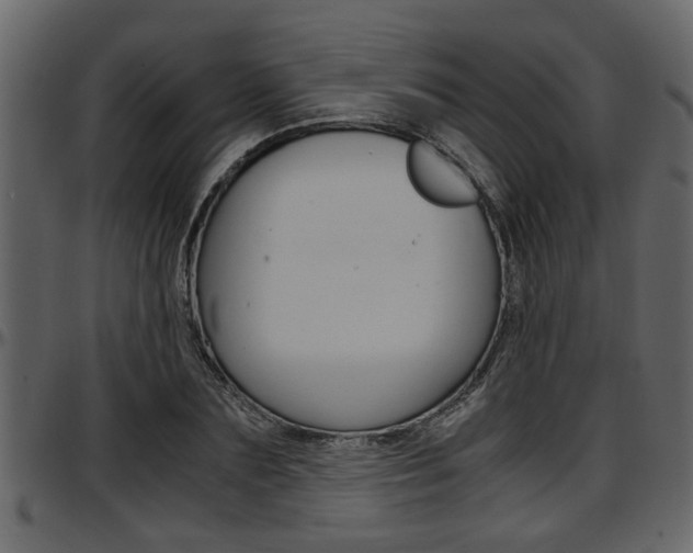 X0000097600883200802290729