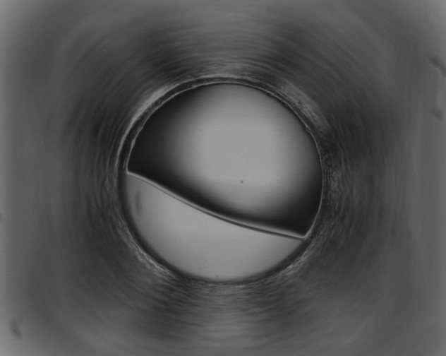 X0000097600884200802290729