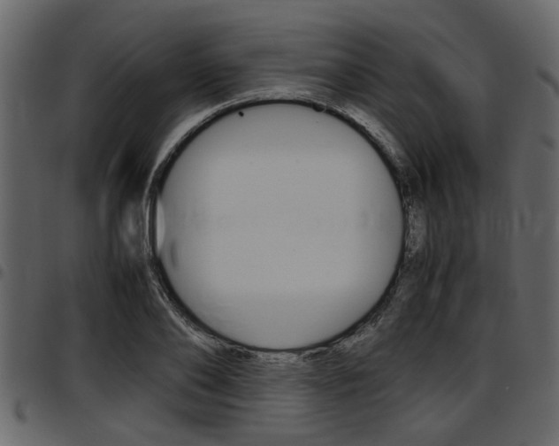 X0000097600886200802290729