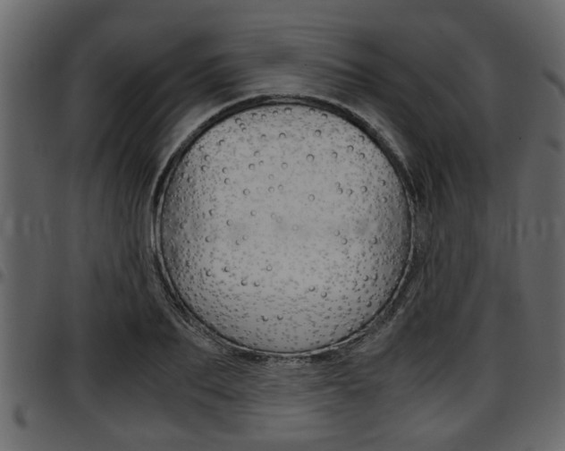 X0000097600887200802290729