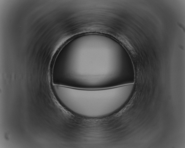 X0000097600888200802290729
