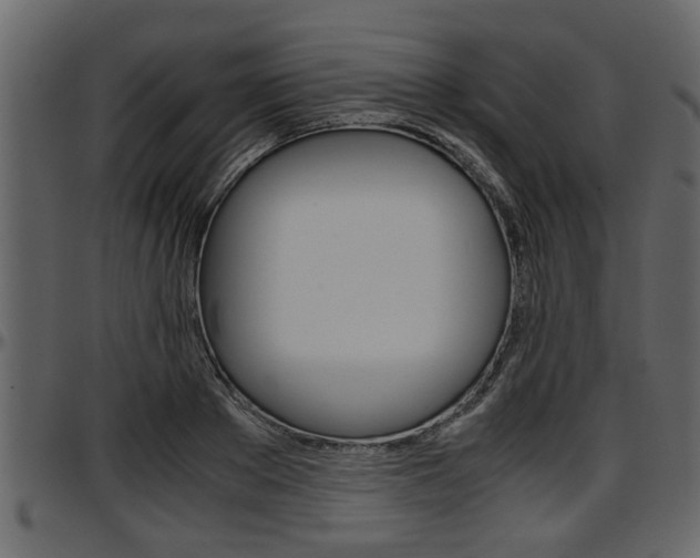 X0000097600889200802290729