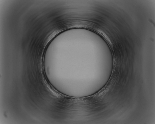 X0000097600890200802290729