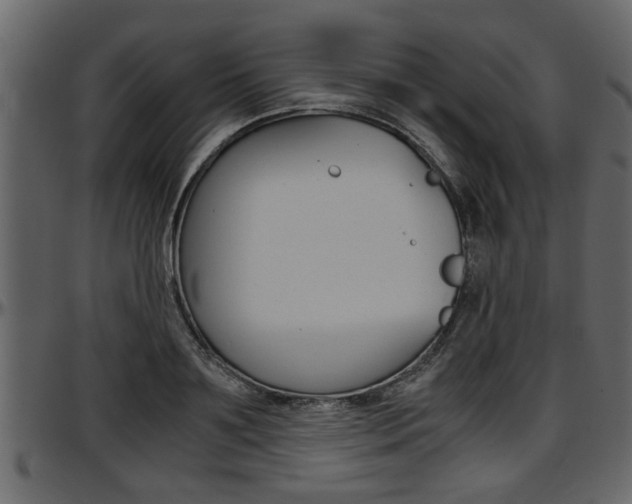 X0000097600891200802290729