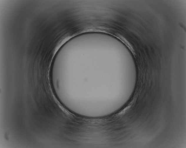X0000097600893200802290729