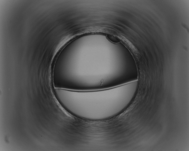 X0000097600894200802290729