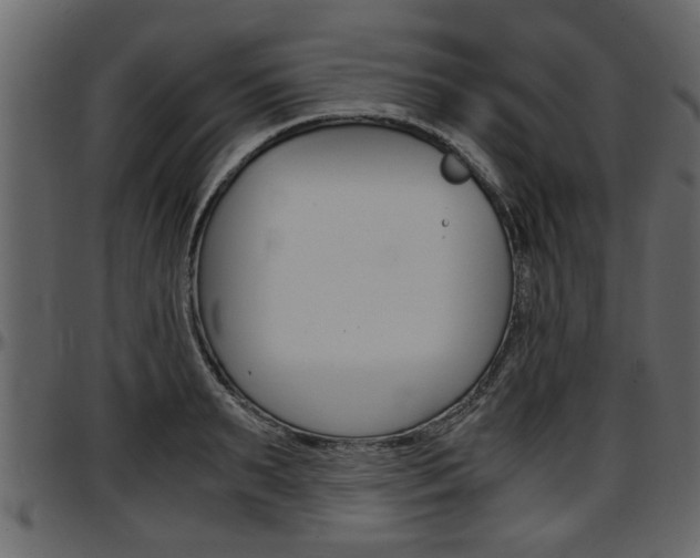 X0000097600895200802290729