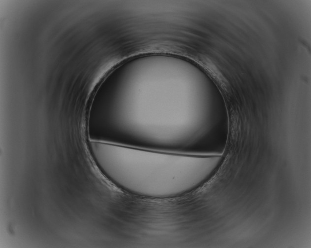 X0000097600896200802290729