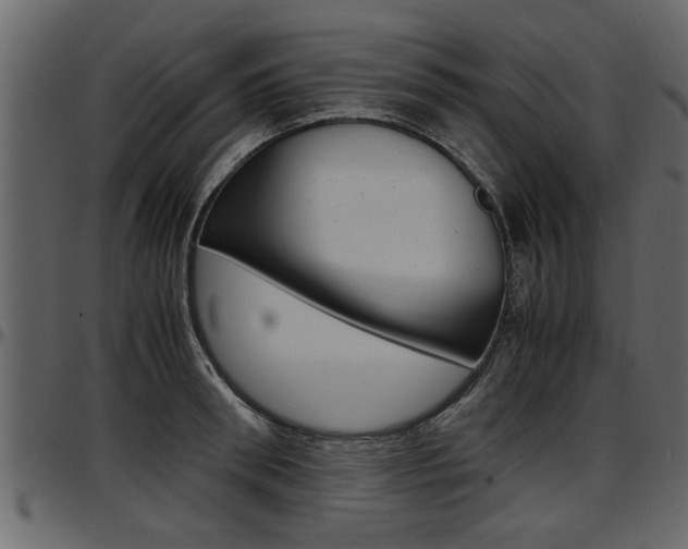 X0000097600898200802290729