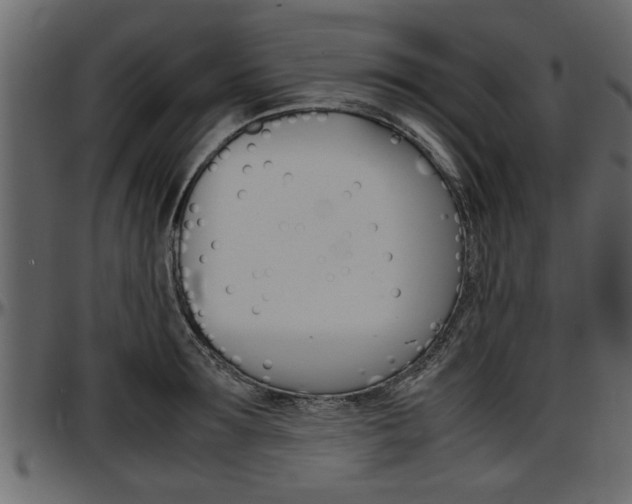 X0000097600899200802290729