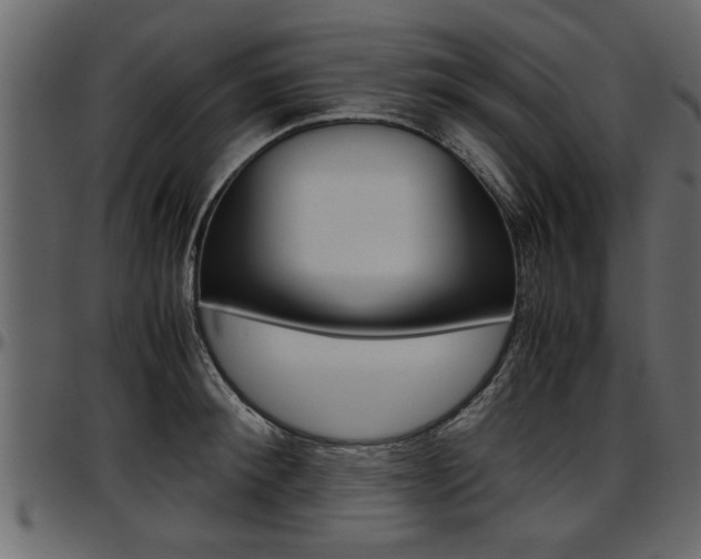 X0000097600900200802290729