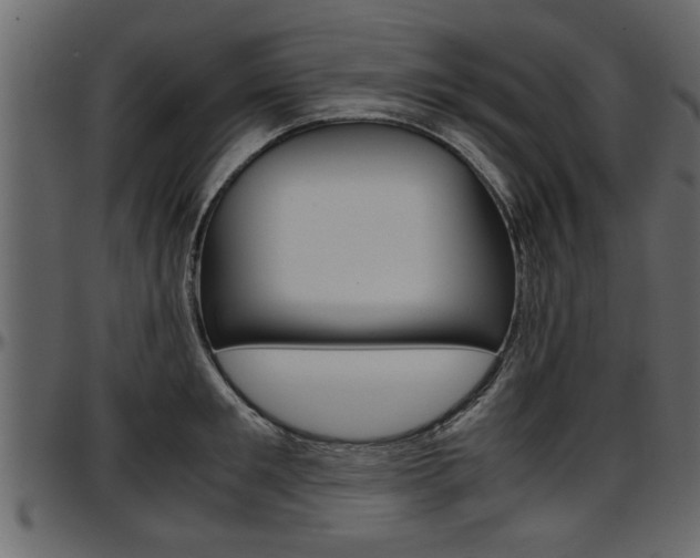 X0000097600901200802290729
