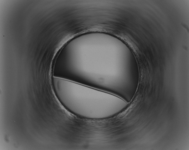 X0000097600902200802290729