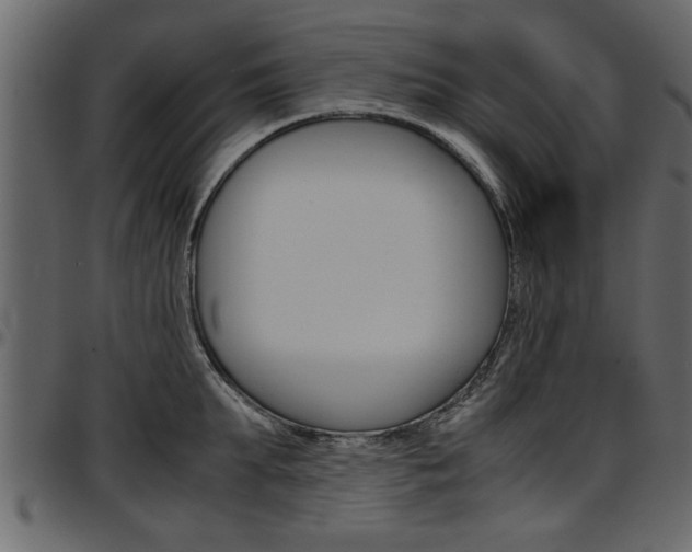 X0000097600903200802290729