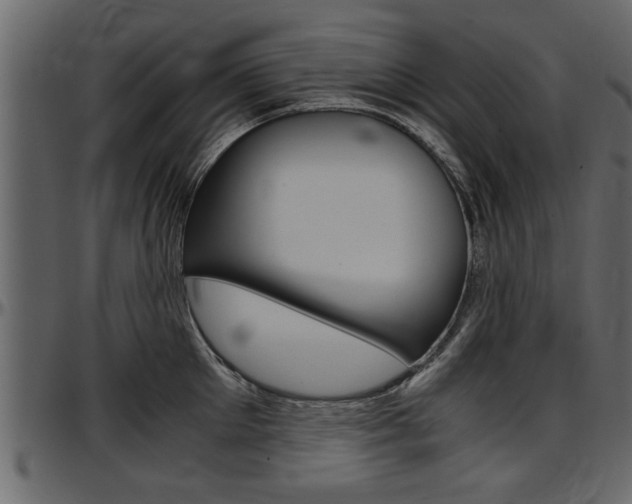 X0000097600905200802290729