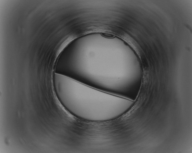 X0000097600906200802290729