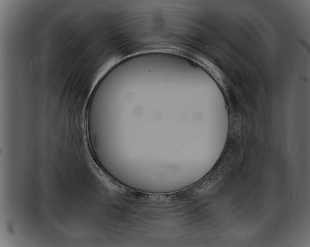 X0000097600907200802290729