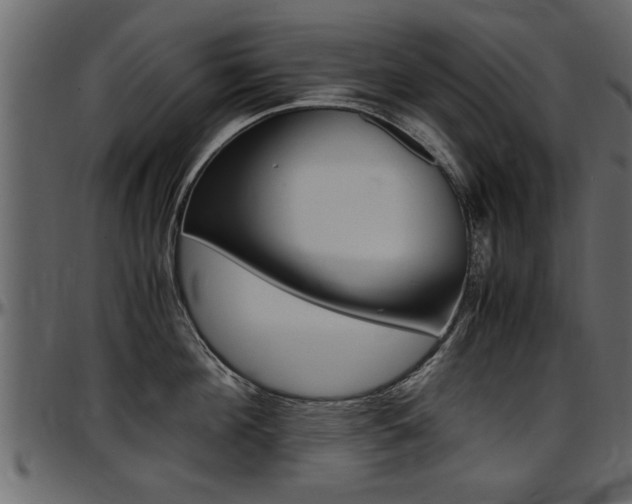 X0000097600908200802290729