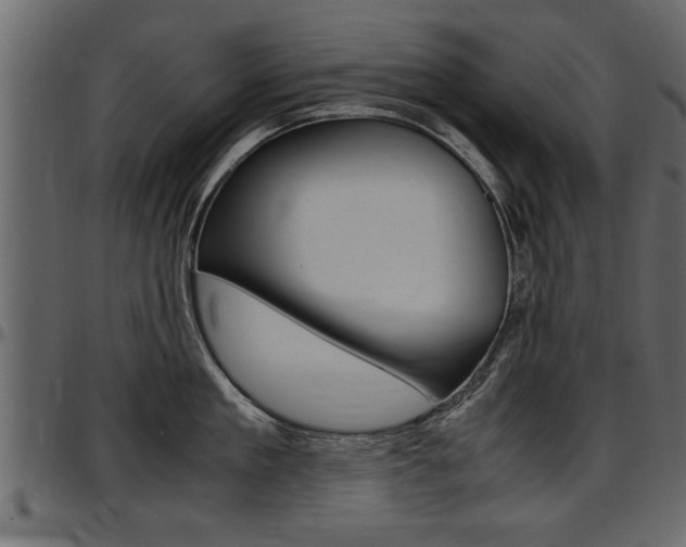 X0000097600909200802290729